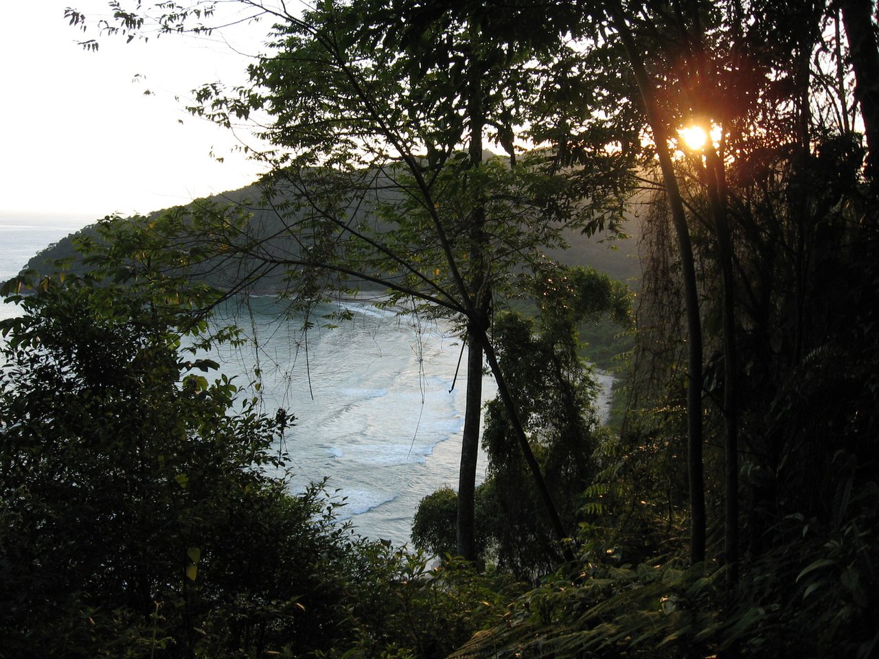 Praia vista do alto, entre os troncos e a folhagem da mata, com o sol baixo atrás das árvores