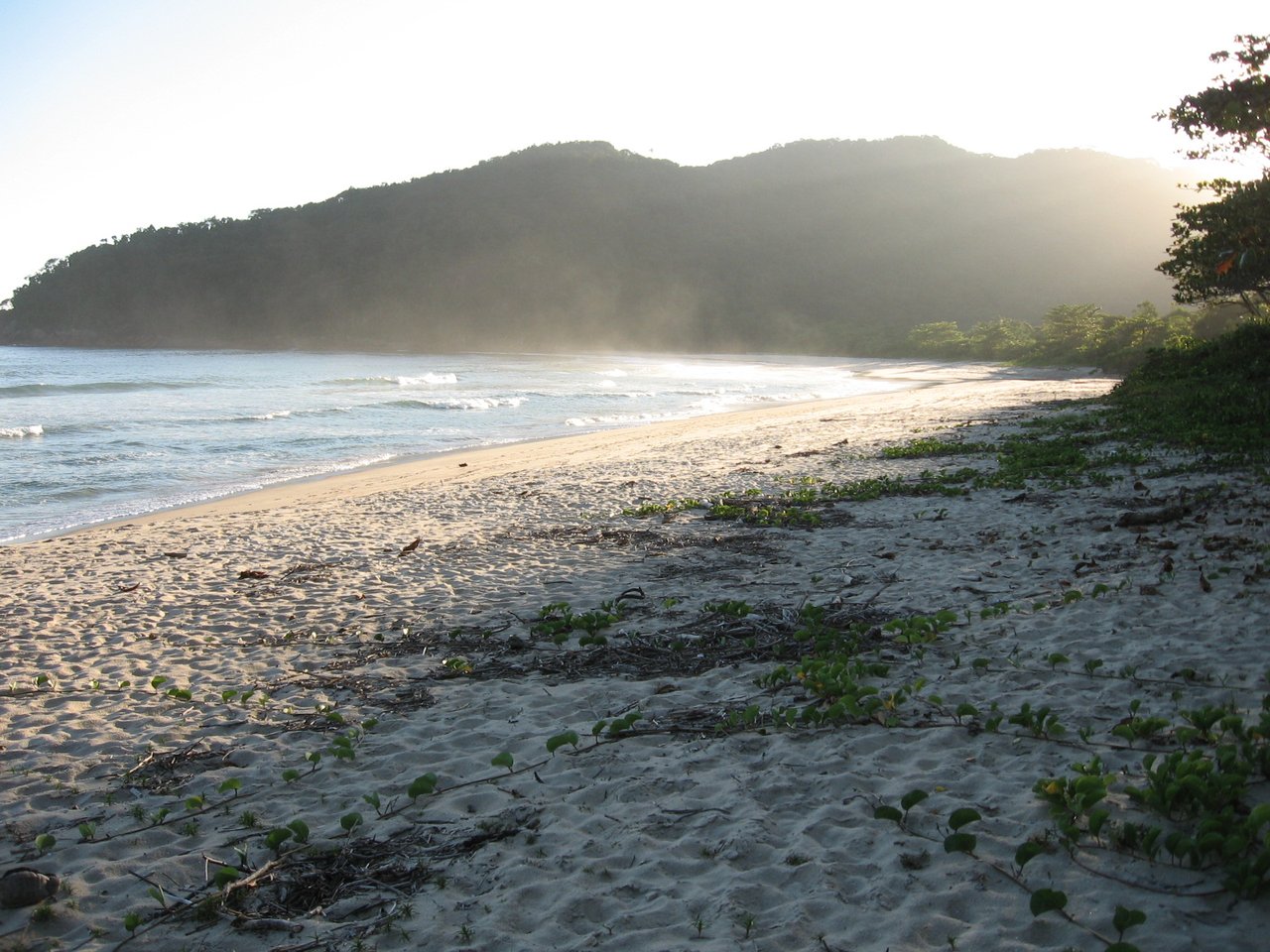 Praia deserta em luz de fim de tarde, com vegetação rasteira na areia e morros cobertos de mata ao fundo