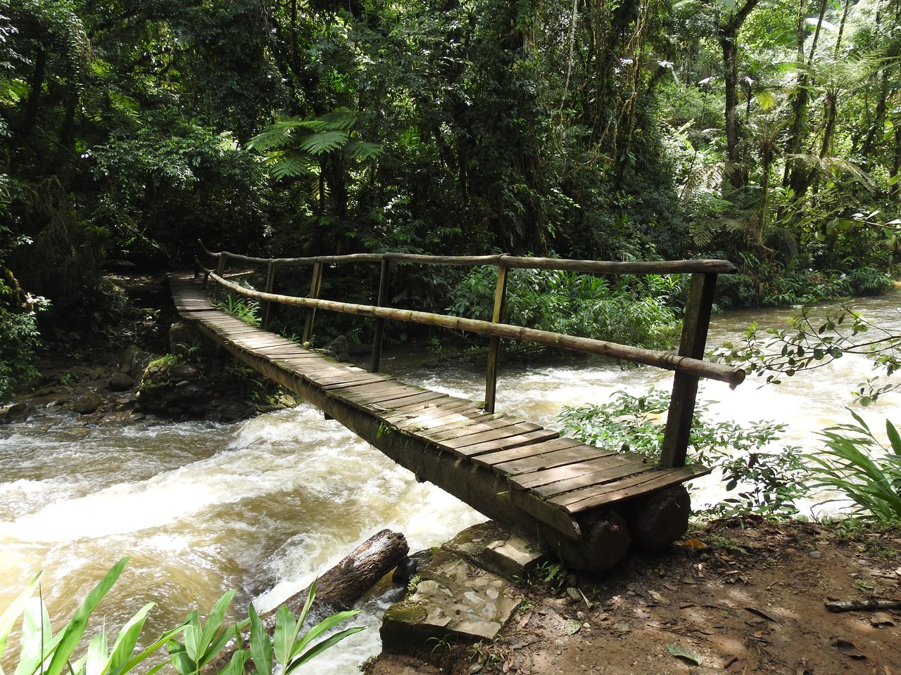 Ponte de madeira rústica sobre um rio de corredeiras, em meio à mata fechada do PETAR