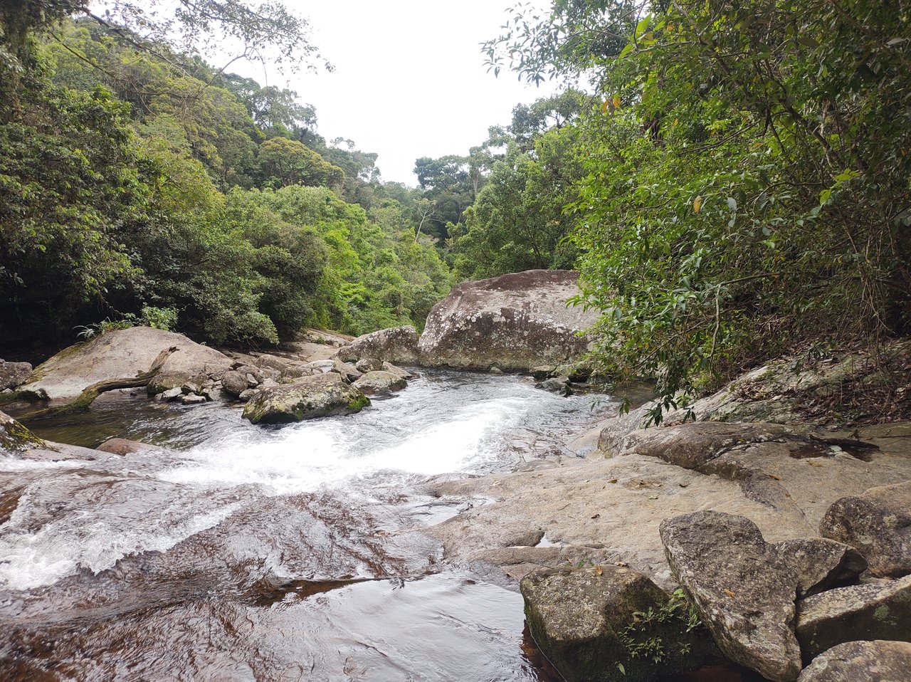 Corredeira do rio escorrendo sobre lajes de pedra lisa, entre a mata do Parque Estadual de Ilhabela