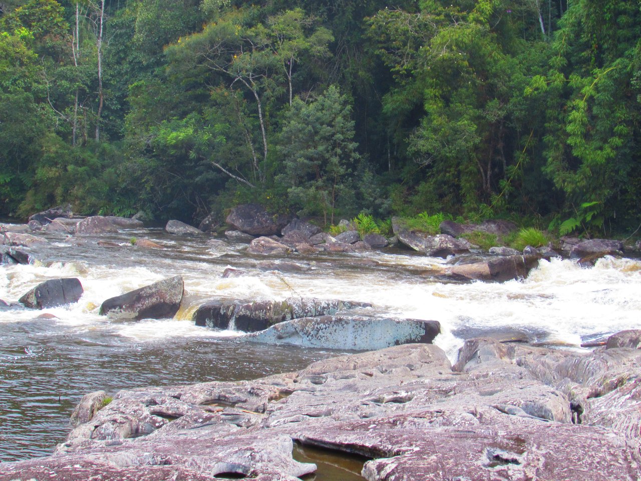 Rio de corredeiras entre blocos de pedra, com a mata fechada do Núcleo Santa Virgínia na margem oposta
