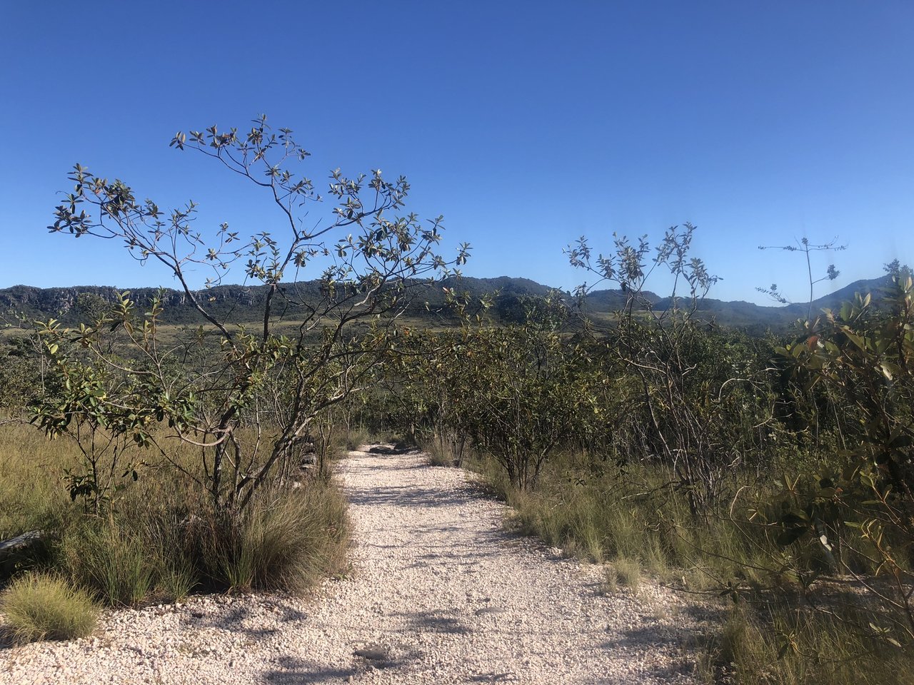 Trilha de cascalho claro entre a vegetação de cerrado, com serras ao fundo, no Parque Nacional da Chapada dos Veadeiros