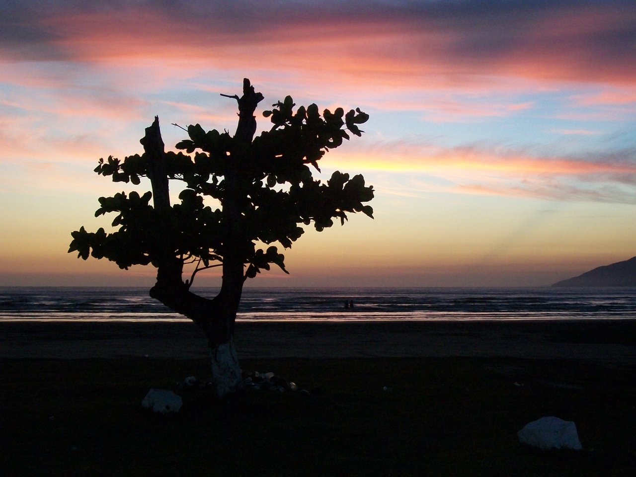 Árvore em silhueta na areia da Praia das Palmeiras ao entardecer, com o mar e o céu em tons de laranja e rosa