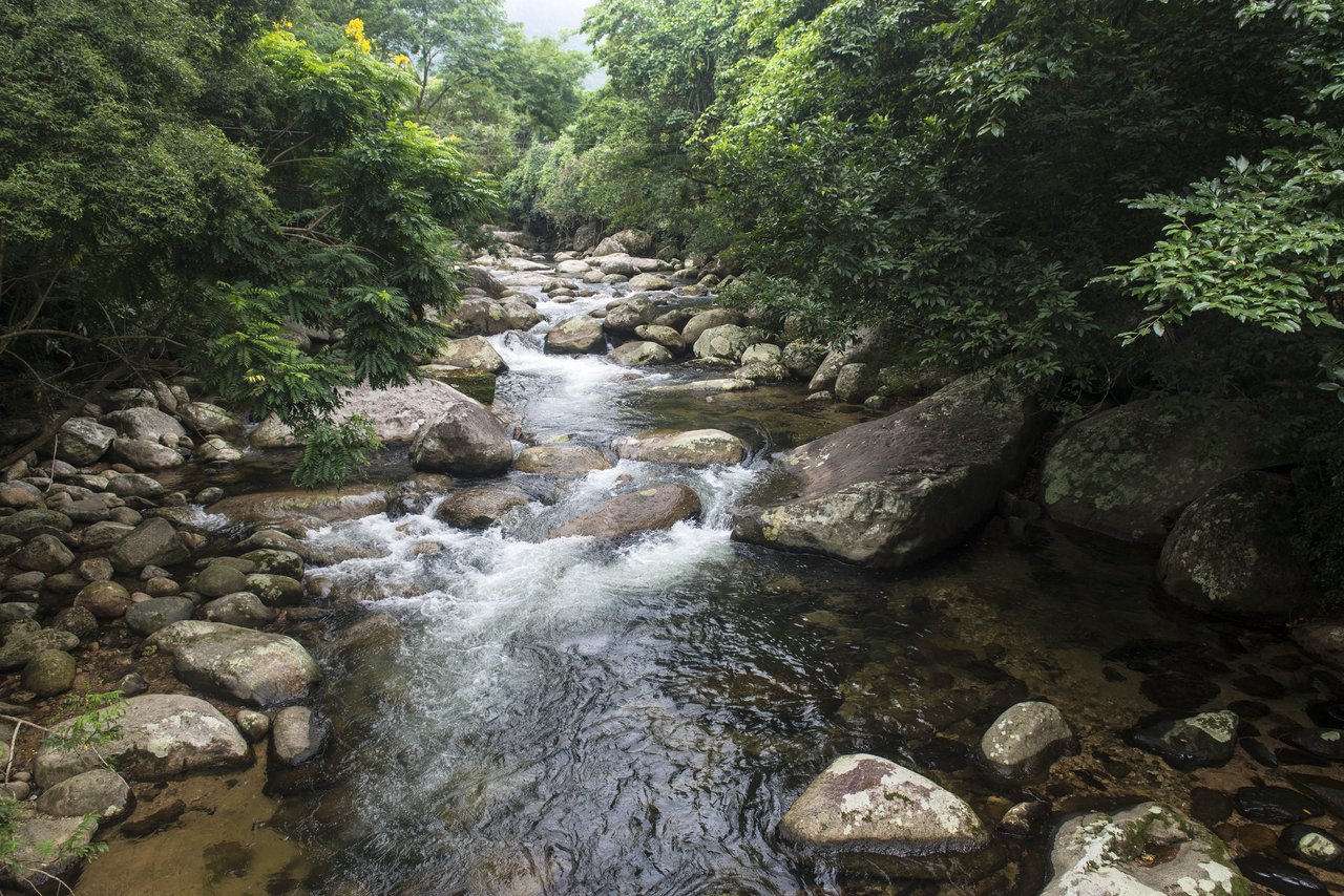 Rio de pedras e corredeiras cruzando a mata fechada de Ilhabela, no caminho do Bonete