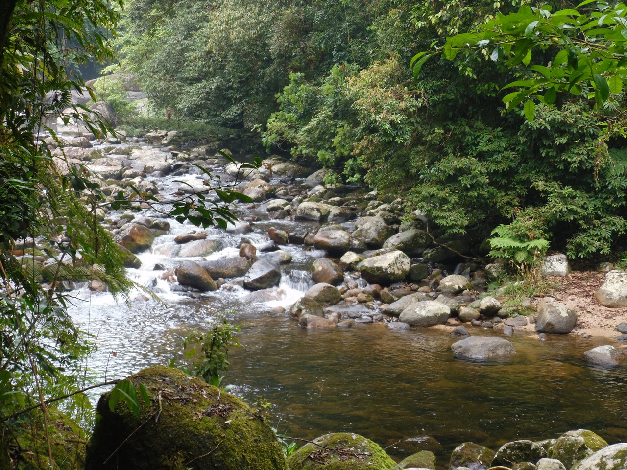 Rio raso de pedras e corredeiras entre a mata da Trilha do Jatobá, com uma pedra coberta de musgo em primeiro plano
