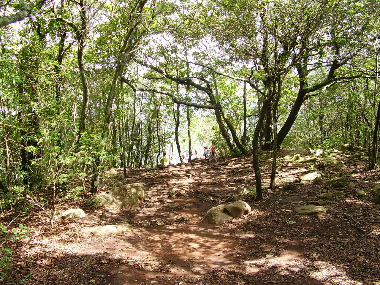 Trilha de terra sob árvores retorcidas na mata do Morro do Diabo, com caminhantes pequenos ao longe