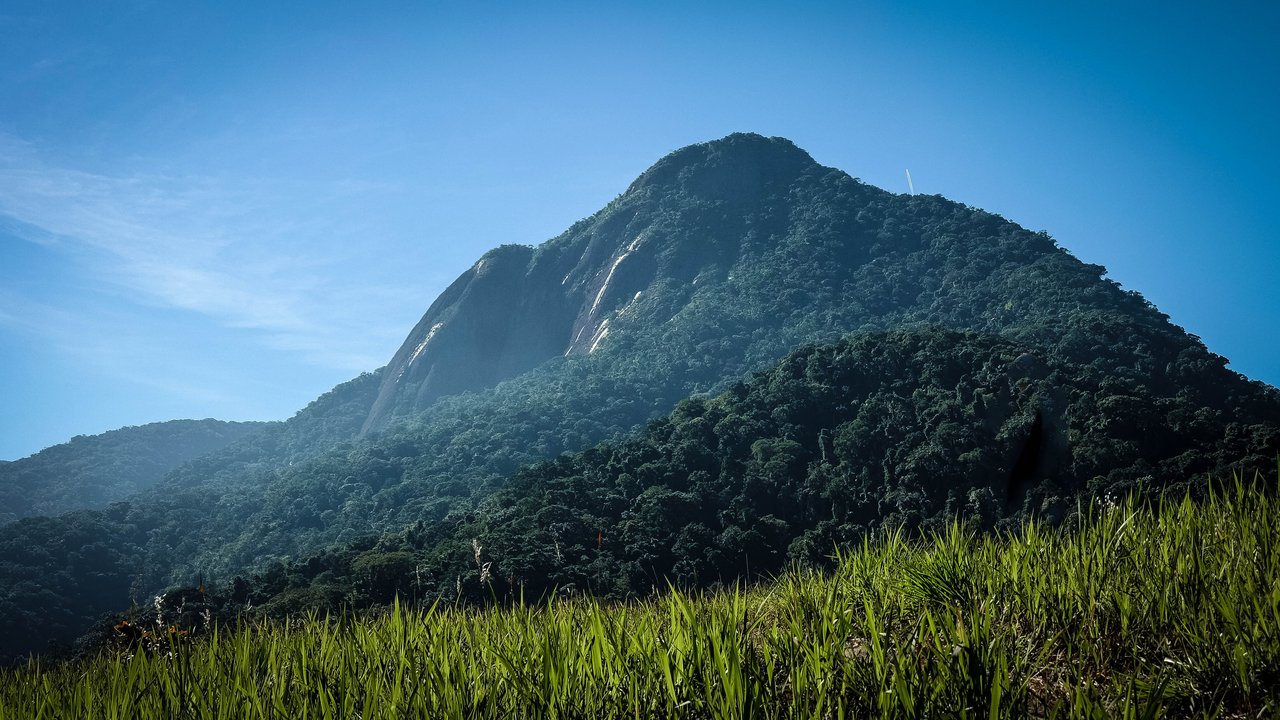 Pico do Baepi, com a parede de rocha nua acima da encosta de mata, visto de um campo de capim alto