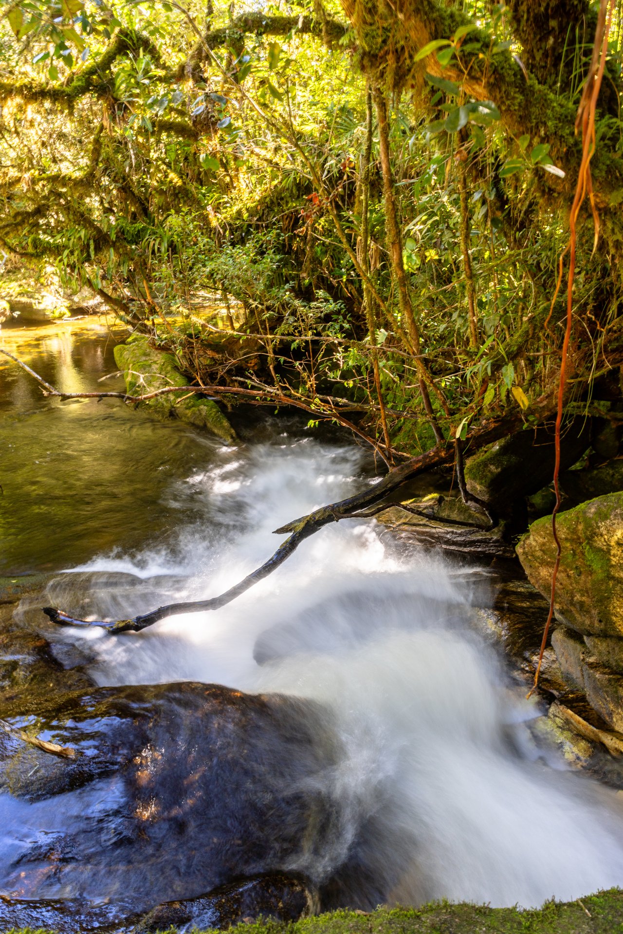 Corredeira do Rio Bonito descendo entre pedras, com galhos e a mata em volta